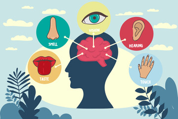 Five human senses line icons set. Vision, smell, hearing, touch, taste icons. Human sensory organs. Eye, nose, ear, hand, mouth icon set.