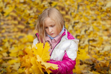 little girl on a background of yellow and red leaves. autumn. leisure