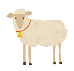 Sheep in flat style illustration