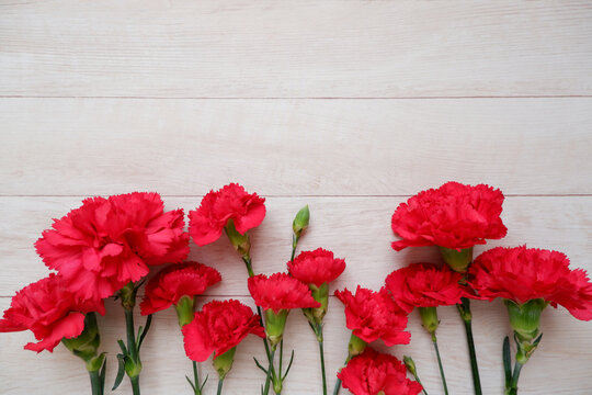 Beautiful red Carnation composition on white wooden background. red Carnation flowers background for Mother's day, Women's day and Valentine day.