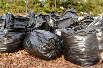 Black plastic bags filled with organic dry garden waste, dry leaves.Cleaning of streets, city parks in spring or autumn.Recycling and recycling of waste.Collecting dry leaves for compost