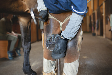 Busy European blacksmith in work clothes shoves back hoof of brown horse