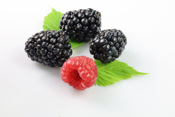 maliny i jeżyny, raspberries and blackberries on a white background - obrazy, fototapety, plakaty