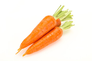 Three Young fresh ripe carrot