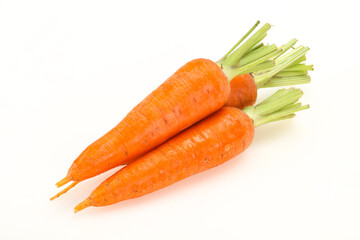 Three Young fresh ripe carrot