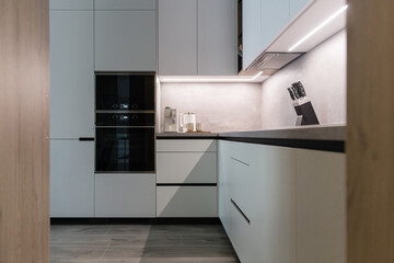 Modern kitchen with built in appliances of apartment