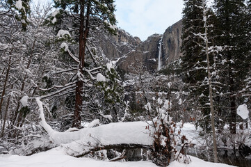 Yosemite falls form the backdrop of a snow covered landscape along the merced river in Yosemite valley.