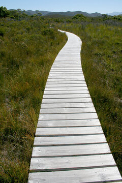 A walkway at Bathurst Harbour, Tasmania, Australia.