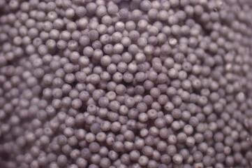 Padllefish eggs.