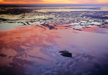 Sunrise, Blackwater National Wildlife Refuge, MD.