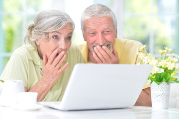 happy old couple with laptop at home