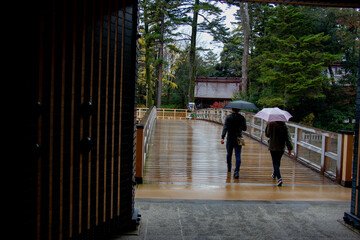 people walking in the park in Japan