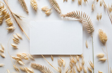 Blank white business greeting card mockup, cereal dried flowers on backgound. branding, template. flat lay.