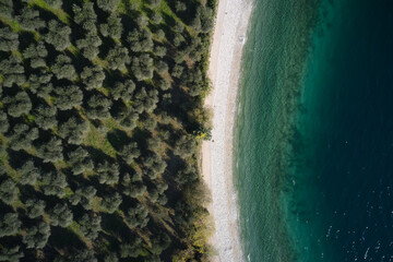 olive trees along the coastline along the water top view. Coastline view from above. Beach top view.