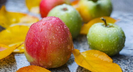 Water drops on an apple lying on the ground