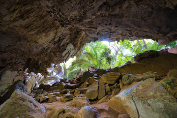 シダの原生林に囲まれる中にある大きな洞窟　タイ・フップパータート