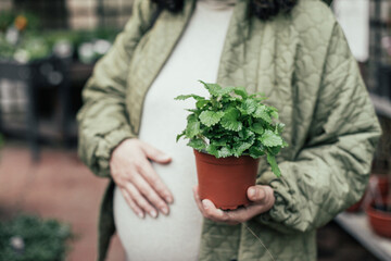 Pregnant woman holding a pot of mint in a plant shop 
