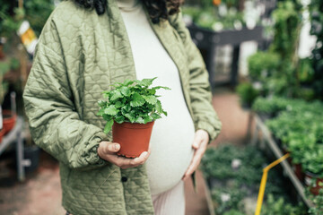 Pregnant woman holding a pot of mint in a plant shop 