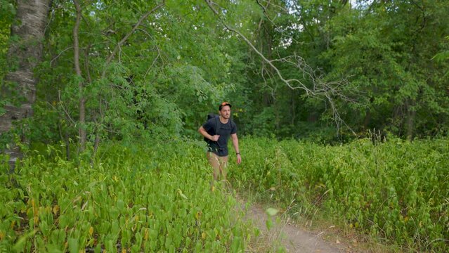 modern male hiker in summer emerges from forest and walks down trail towards camera