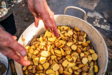 the old grandmother prepares potatoes for the cattle. antithetical man. cooking