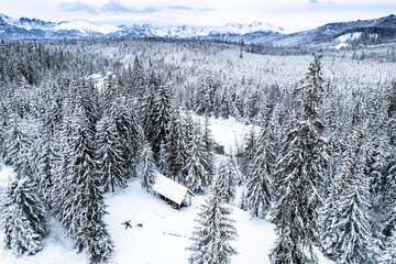 Man walk dog in winter forest and snowy mountains