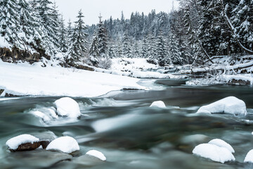 Winter landscape, snowy trees in forest and frozen river