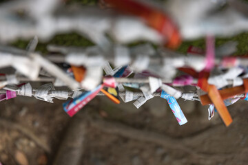 A fortune telling slip at Tomioka Shrine closeup