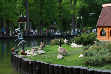 Fototapeta premium green well-groomed beautiful park near the lake