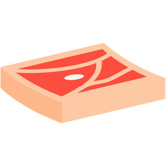 Raw Fresh Meat Slices Ready to Serve