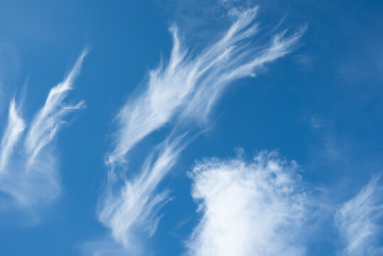 Blue sky - cirrocumulus and altocumulus clouds in winter