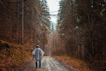 Fototapeta premium man in raincoat walks through forest, rain, loneliness, autumn and winter, man inside himself, reflections.