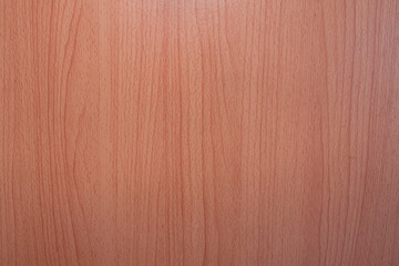 Naklejka premium Wood grain photograph