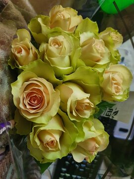 bouquet of roses