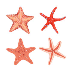 Hand drawn colorful starfish set