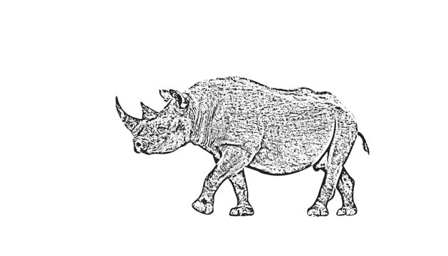 Vector rhino silhouette side view for logo, vintage design Isolated on white background.Vector illustration of a silhouette of a standing rhinoceros detail side view rhinoceros