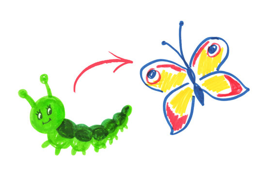 Childlike drawing of caterpillar to butterfly infographic