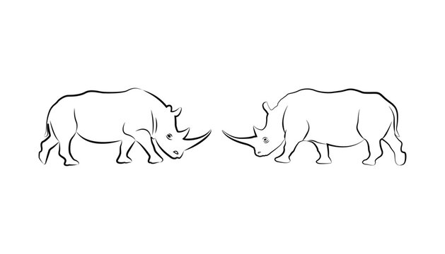 Line silhouette vector illustration of two rhinos. Rhino is about to fight. For logo. Rhino Vector.
