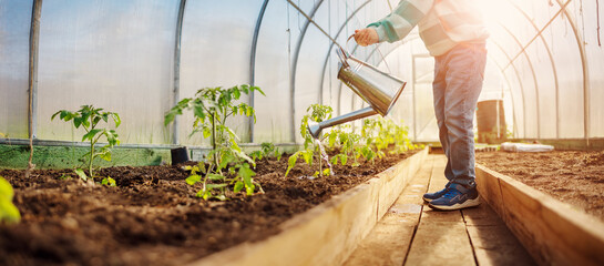 Boy watering some vegetables in the greenhouse.