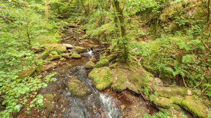Obraz premium Fragas do Eume Natural Park, Pontedeume, La Coruña, Galicia, Spain, Europe