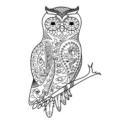 Owl coloring book for adults PNG illustration with transparent background