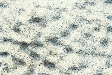 Obraz premium beautiful stones on nature by the sea background