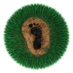 Carbon footprint on an isolated grassy planet 