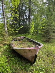 Abandoned boat in the forest