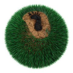 Carbon footprint on an isolated grassy planet