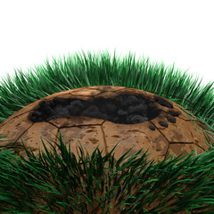 Carbon footprint on an isolated grassy planet