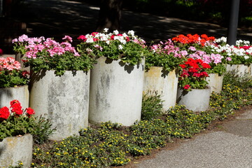 Blumenkübel aus Stein mit Sommerblumen, Deutschland