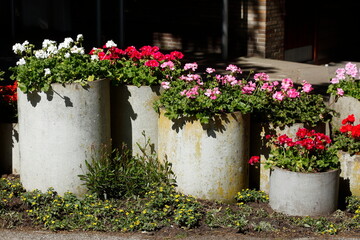 Fototapeta na wymiar Blumenkübel aus Stein mit Sommerblumen, Deutschland