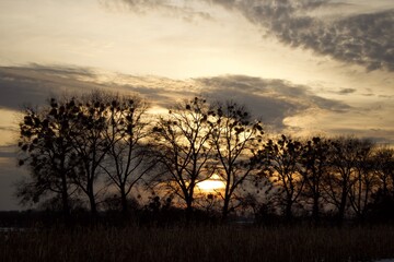 sunset over the river