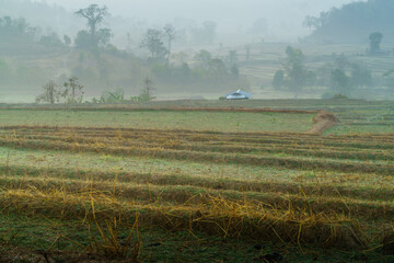 Fototapeta premium Agricultural landscape, Countryside field, Ban na mom Village, Wiang haeng District, Chiang mai Province, Thailand.