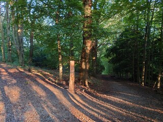 Kruppwald in Essen NRW